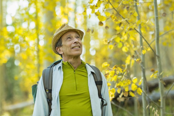 Man exploring autumn forest