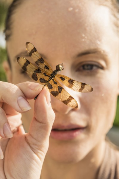 Caucasian woman holding dragonfly