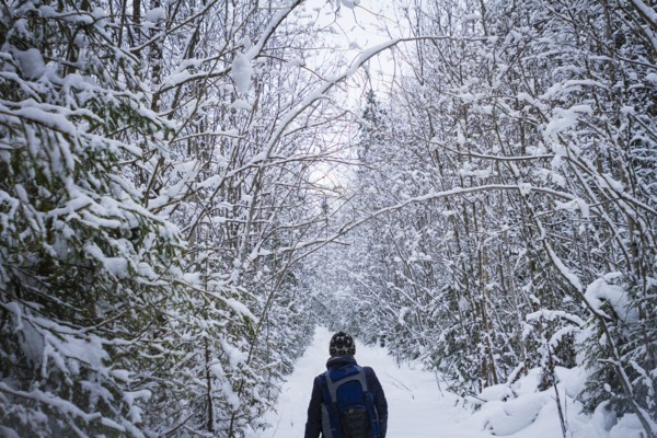 Caucasian hiker walking in snowy forest