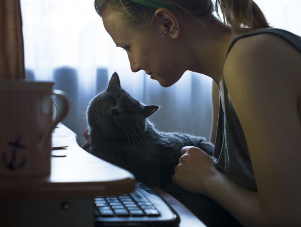 Caucasian woman petting cat at computer