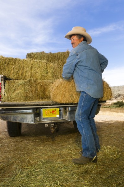 Hispanic man unloading hay from truck
