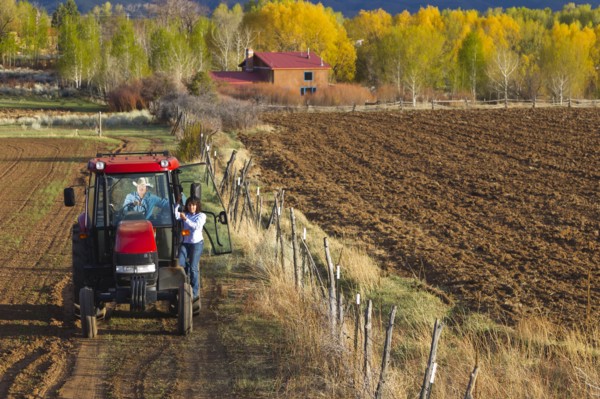 Hispanic couple driving tractor on farm