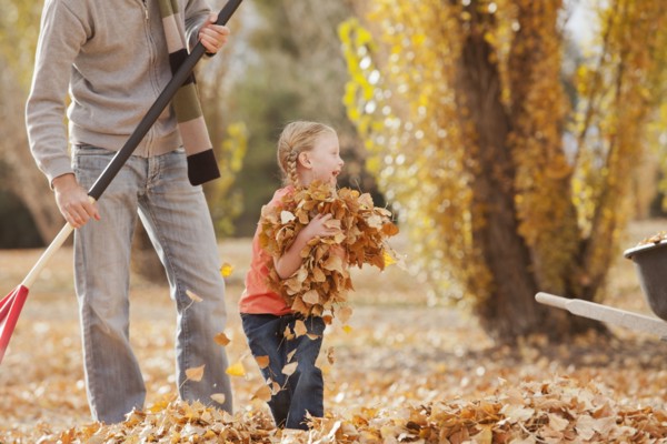 Caucasian father and daughter raking autumn leaves