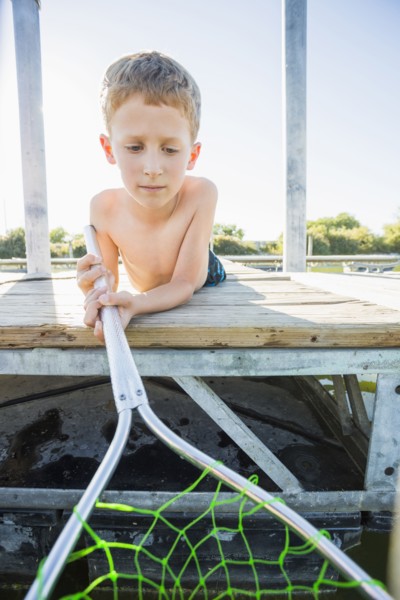 Caucasian boy using fishing net on dock