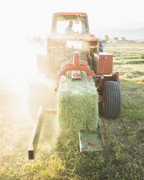 Caucasian farmer driving tractor