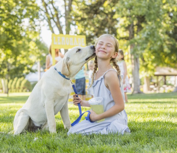 Pet dog licking face of Caucasian girl on grassy lawn