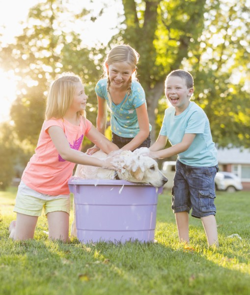Caucasian children washing pet dog in backyard