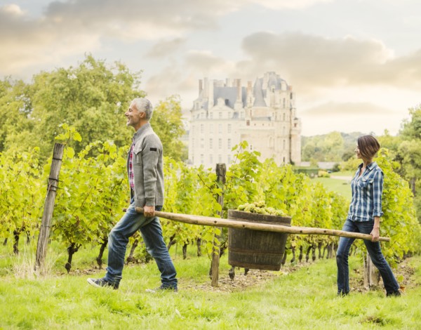 Caucasian farmers carrying grapes in vineyard