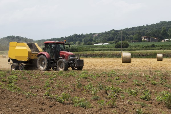 Tractor in field