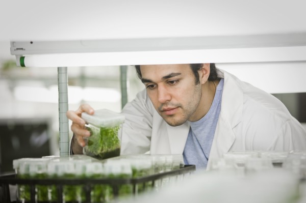 Middle Eastern scientist working in laboratory
