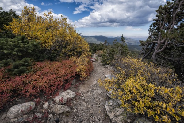 Autumn leaves in mountain landscape