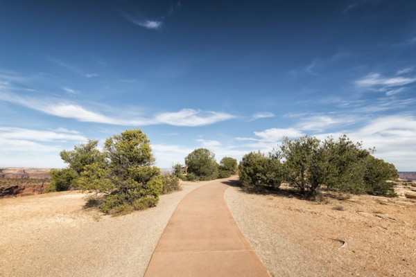 Path in sunny park