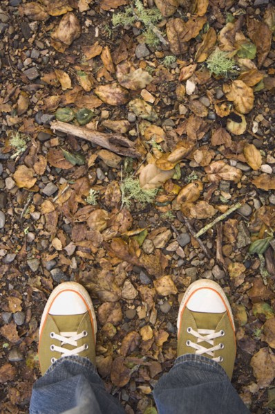 High angle view of sneakers on nature trail