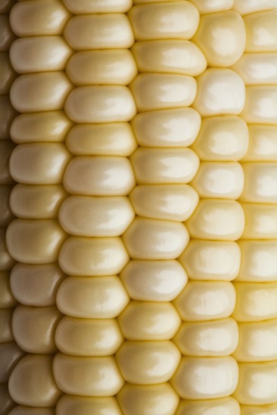 Close up of corn on the cob