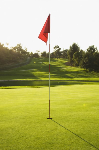Flag in hole on golf course