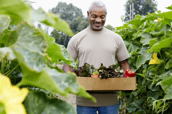 Black man gathering vegetables in community garden
