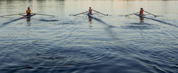 People rowing sculling boats on river