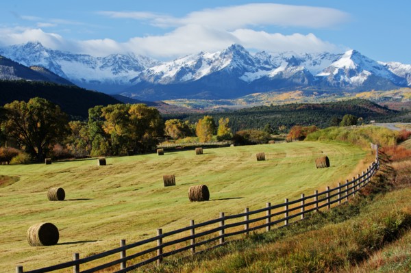 Hay bales in rural field