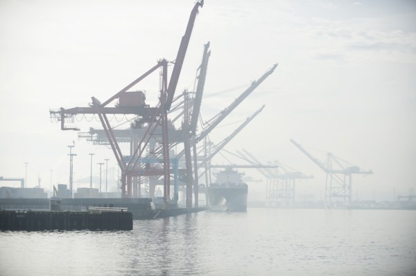 Shipping cranes in foggy industrial harbor