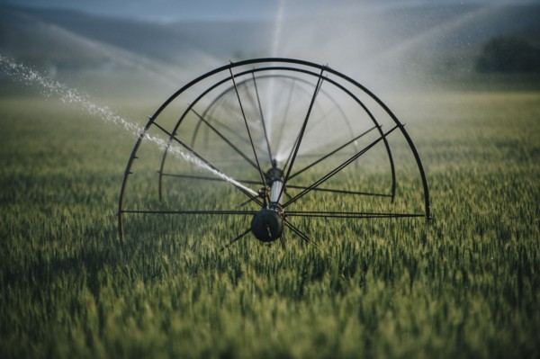 Irrigation system watering crops on farm field
