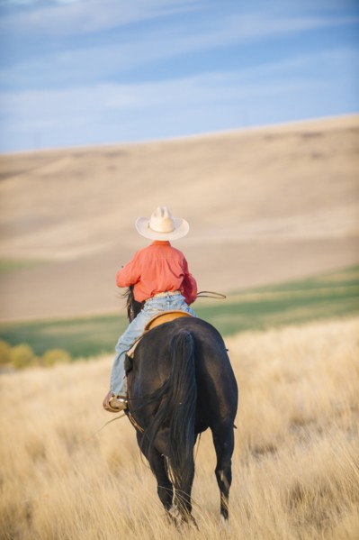 Caucasian boy riding horse in grassy field