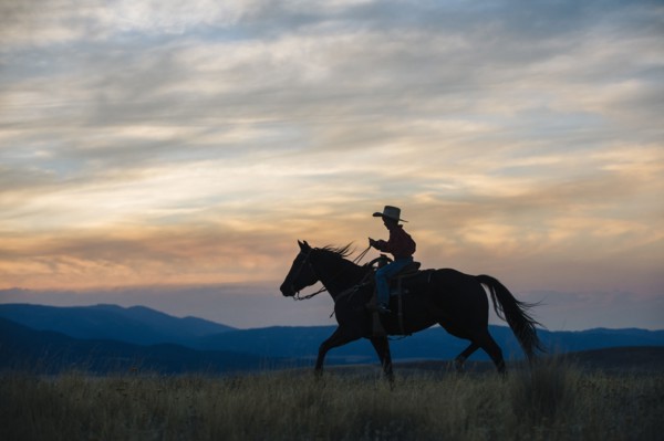 Caucasian boy riding horse in grassy field
