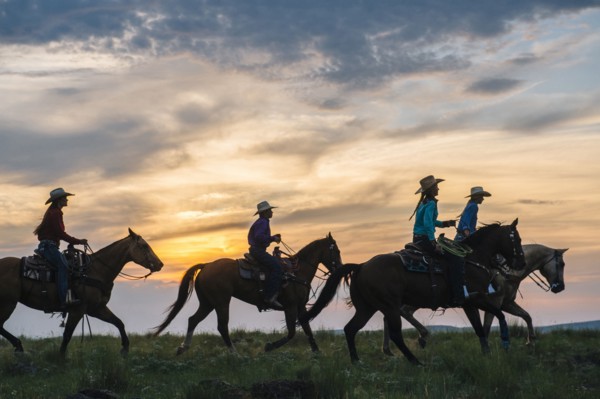 Cowgirls and cowboy riding horses in rural field