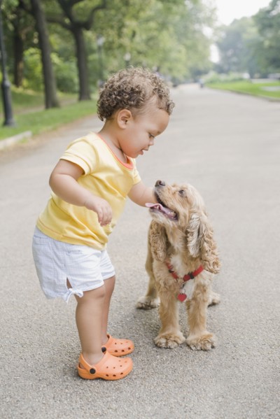 Hispanic girl petting dog