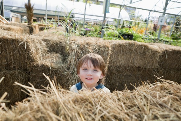 Caucasian boy standing near hay bales