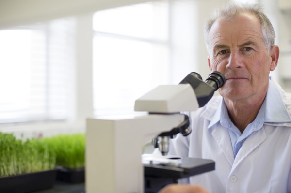 Caucasian scientist using microscope in laboratory