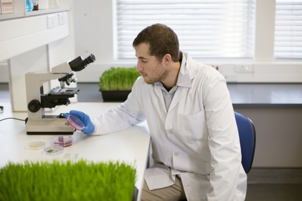 Caucasian scientist examining sample in laboratory