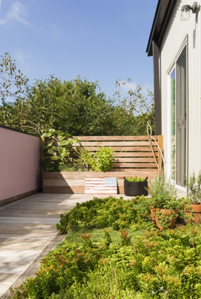 Landscaping and patio of modern condo building