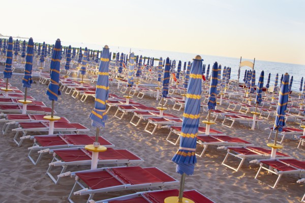 Umbrellas and beach chairs in a row on beach