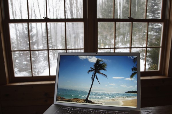 Tropical scene on laptop screen during winter