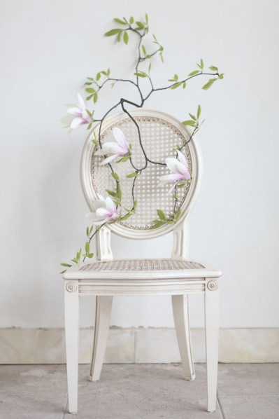 Flowering branch on empty chair