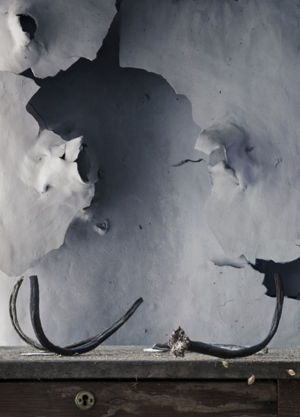 Peeling paint and antlers near dilapidated wall
