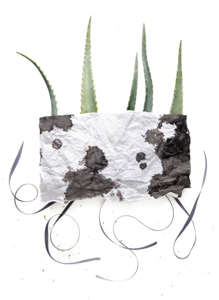 Watercolor napkin over plant leaves
