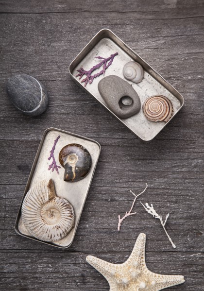 Tins of collected seashells and pebbles