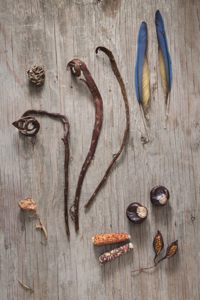 Dried leaves