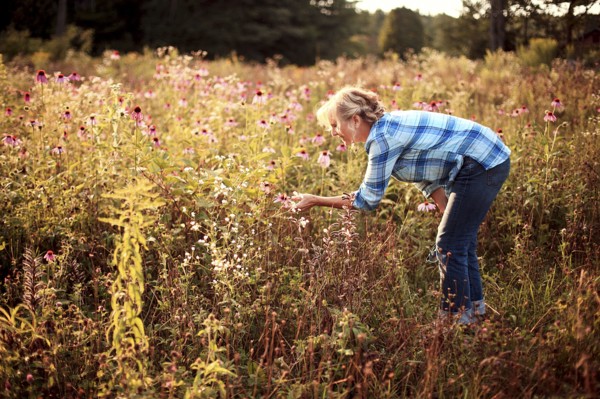 Caucasian gardener examining wildflowers