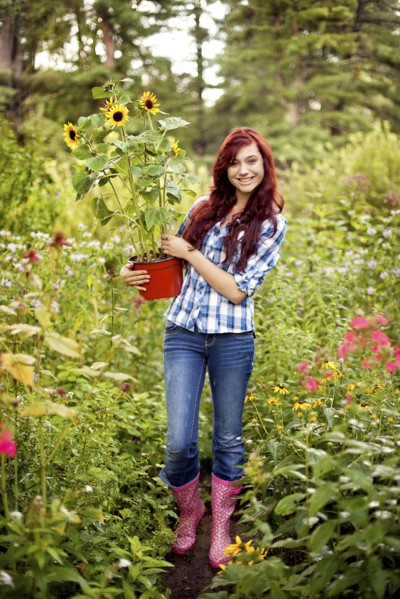 Gardener carrying sunflower plant in field