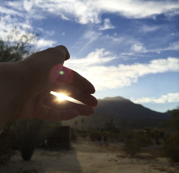 Close up of hand obscuring sunlight in field