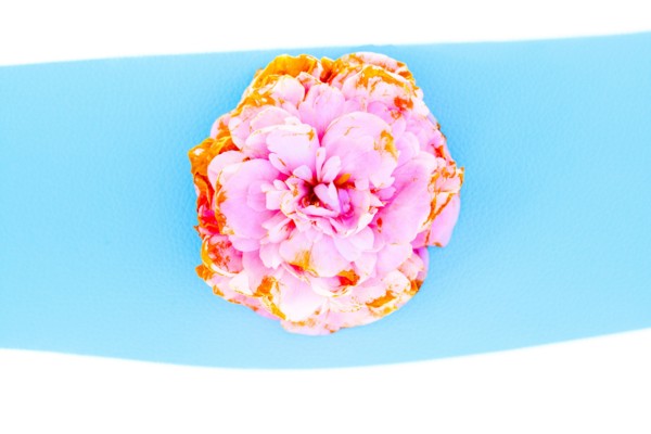 Close up of wilting flower petals