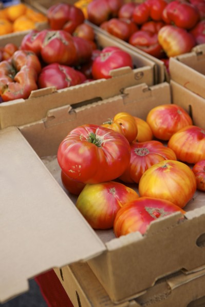 Crates of varieties of fresh tomatoes