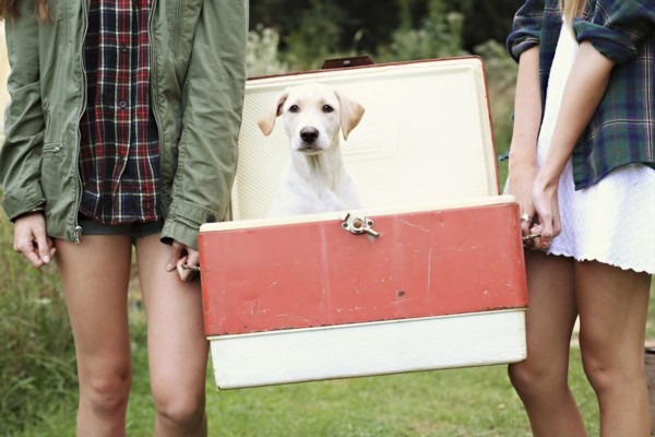 Close up of women carrying dog in vintage cooler