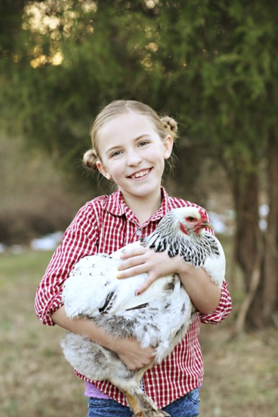 Caucasian girl holding chicken on farm