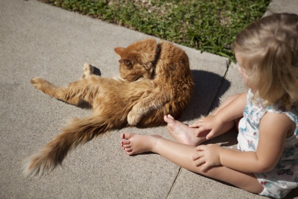 High angle view of girl watching cat in backyard
