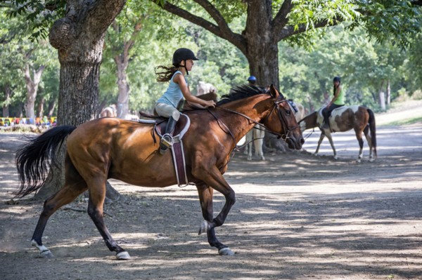 Equestrian girl riding horse on ranch