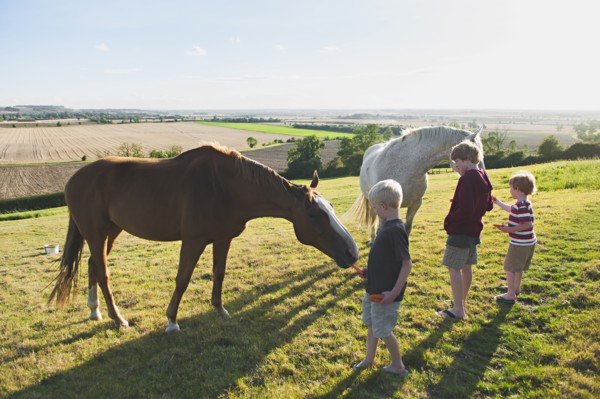 Caucasian brothers feeding horses in rural field