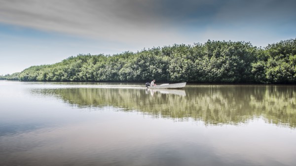 Canoe floating in still rural lake